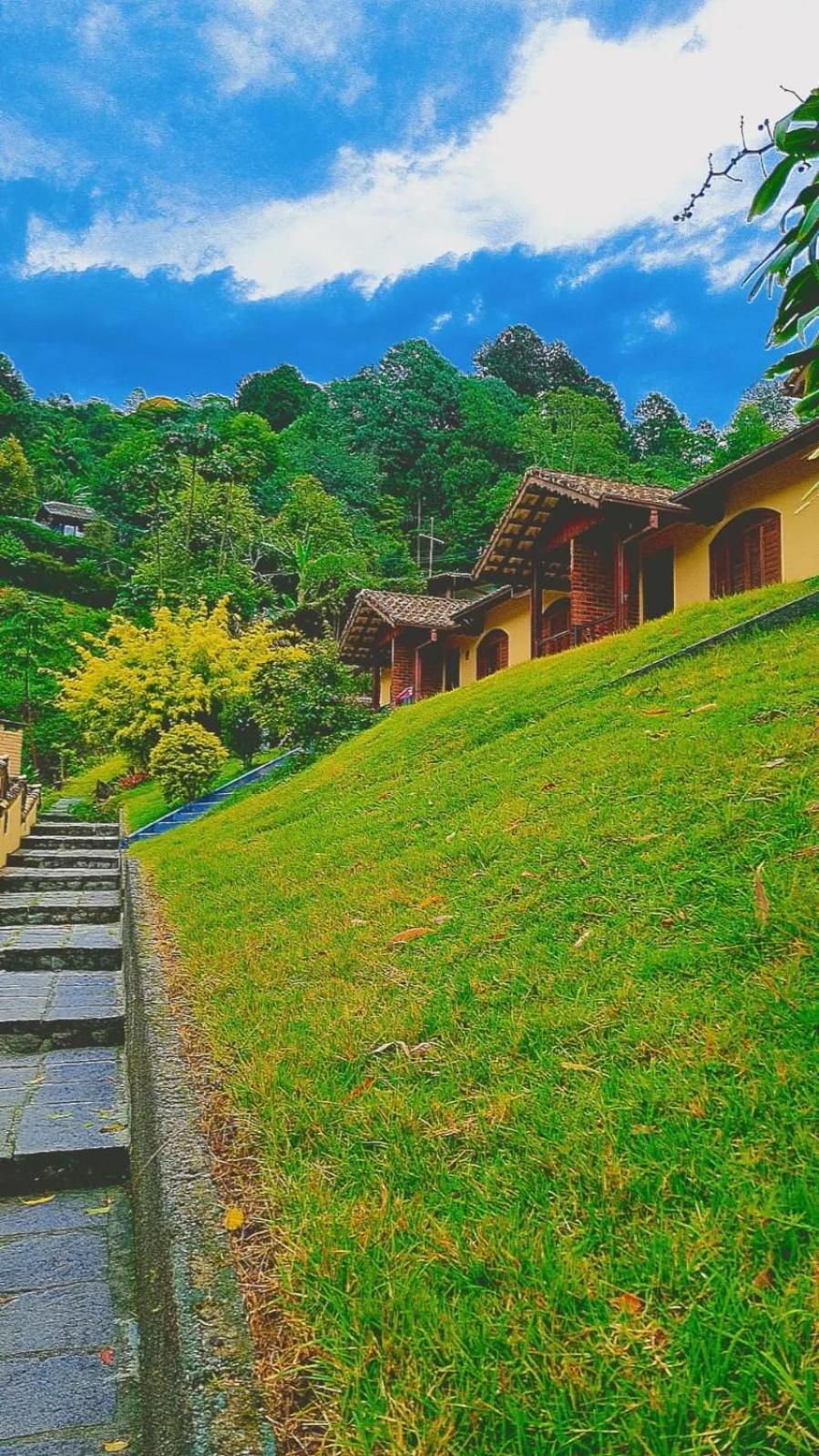 Lodge Chale Canton Suisse Nova Friburgo
