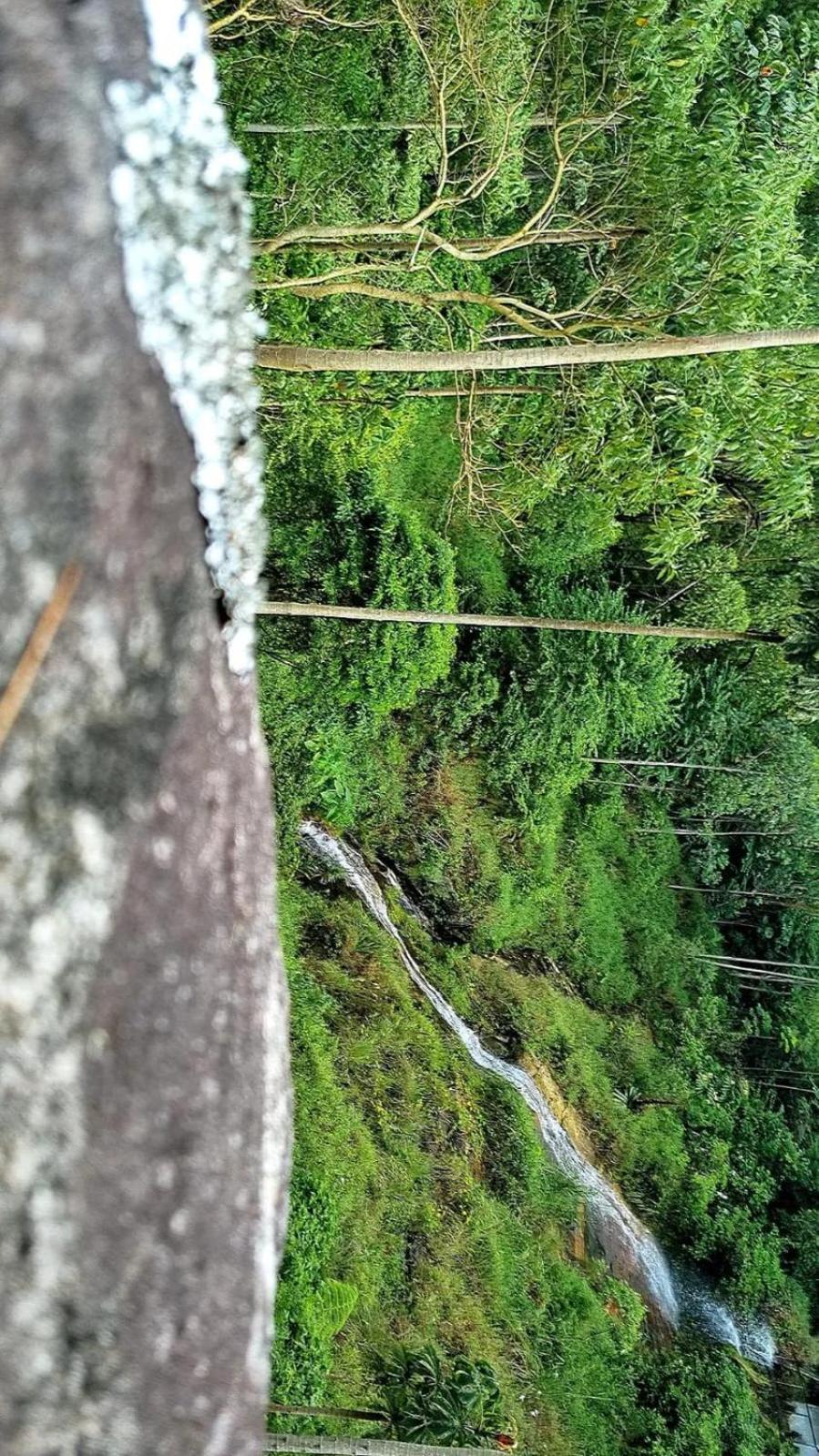 Lodge Chale Canton Suisse Nova Friburgo