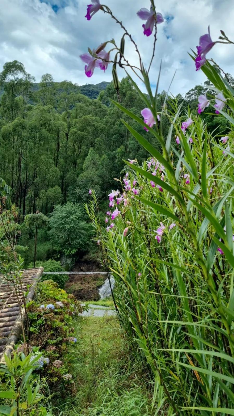 Lodge Chale Canton Suisse