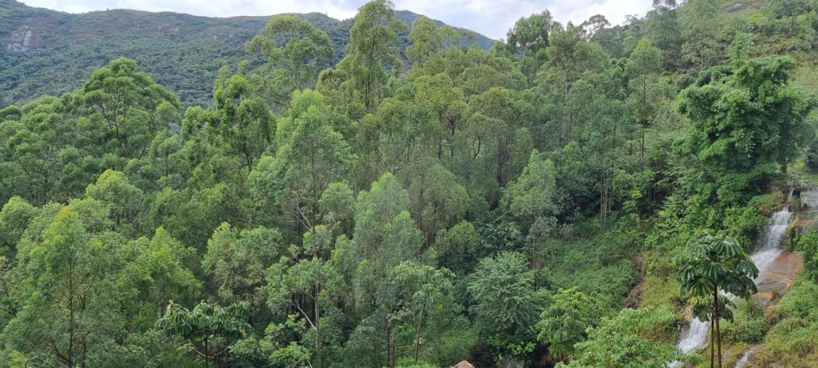 Chale Canton Suisse Lodge Nova Friburgo