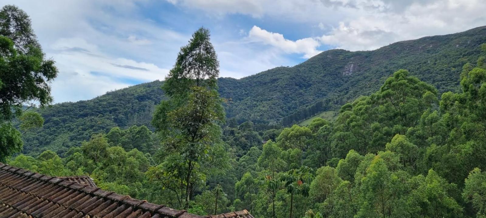Lodge Chale Canton Suisse Nova Friburgo