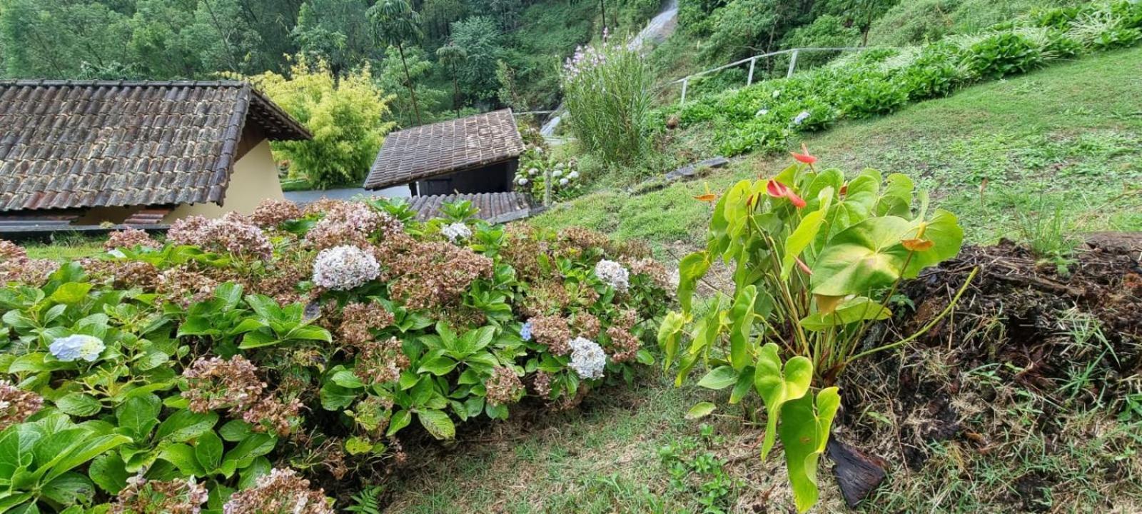 Chale Canton Suisse Nova Friburgo