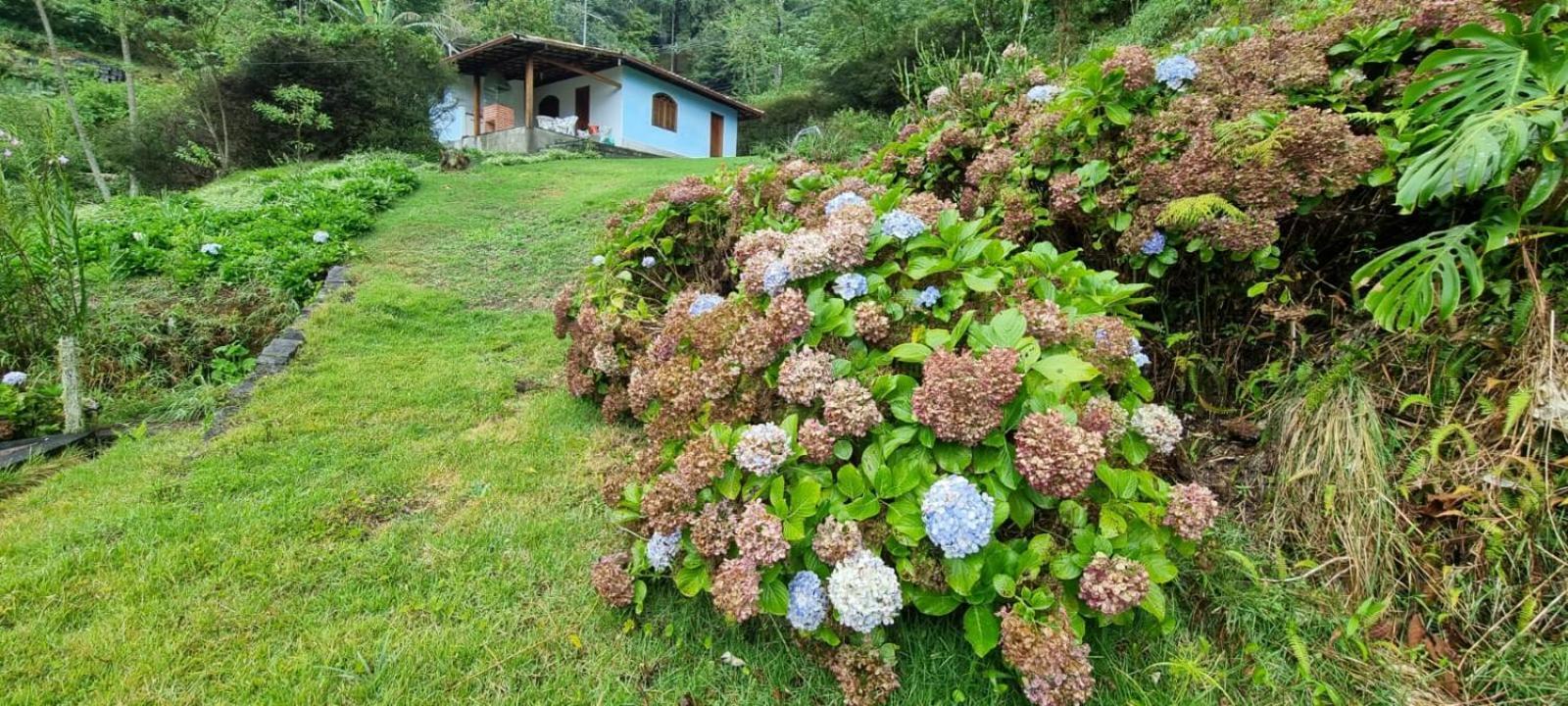 Chale Canton Suisse * Nova Friburgo