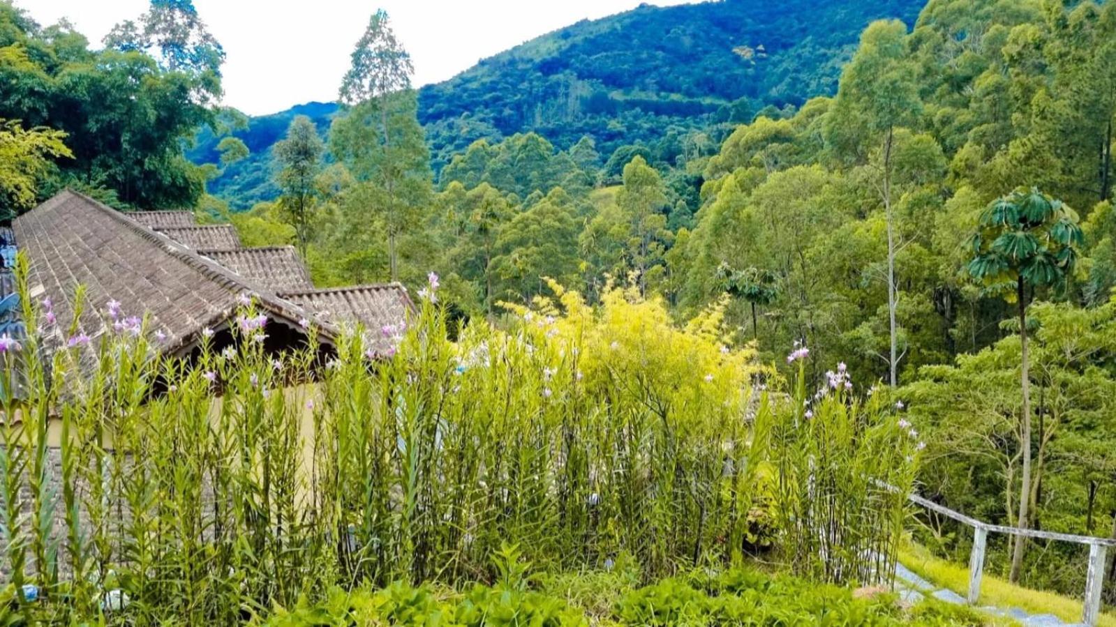 Chale Canton Suisse * Nova Friburgo