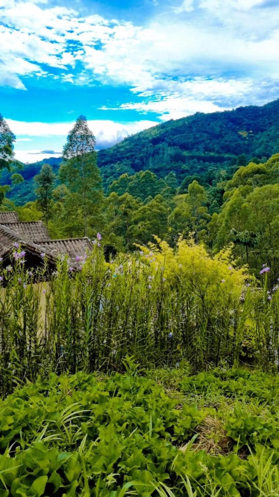 Chale Canton Suisse * Nova Friburgo