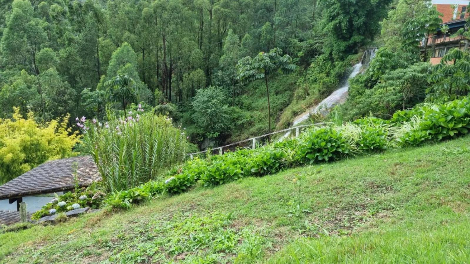 Chale Canton Suisse 山林小屋 *