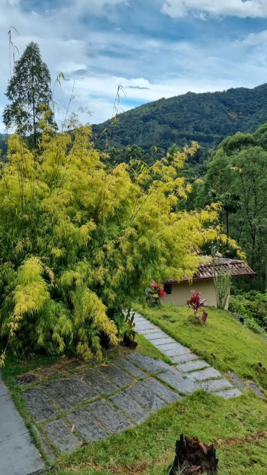 Chale Canton Suisse 山林小屋 *