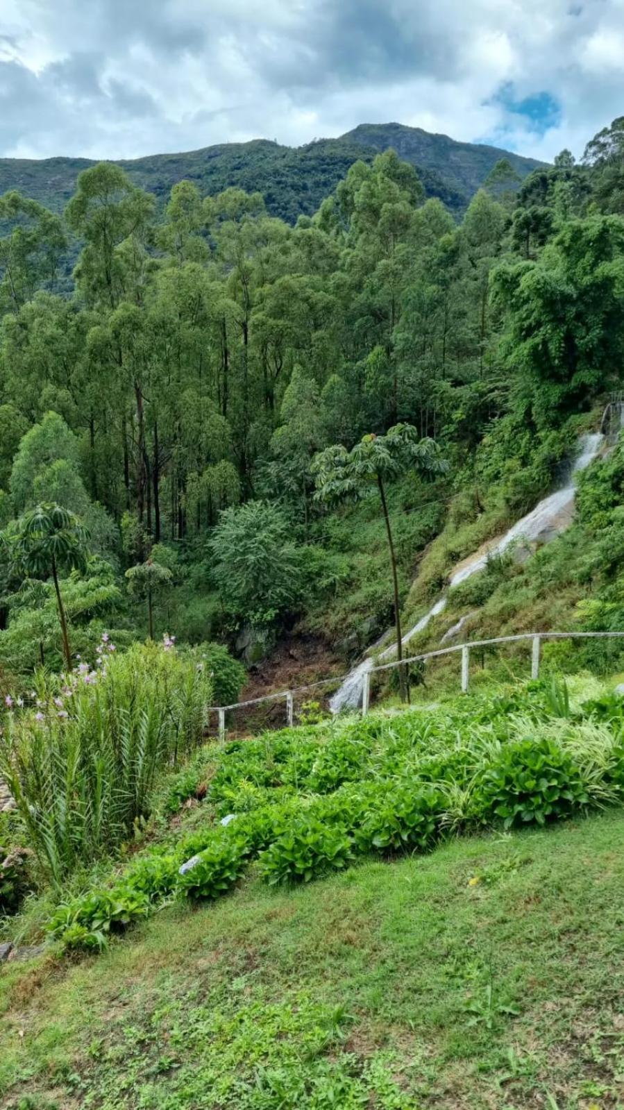 Chale Canton Suisse 山林小屋